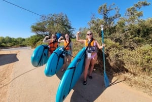 From Tavira to Benagil: Cave Paddle Board Tour Adventure