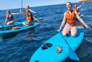 From Tavira to Benagil: Cave Paddle Board Tour Adventure