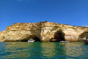 From Vilamoura: 2.5-Hour Benagil Cave and Dolphins Boat Tour