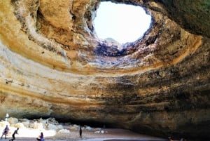 ヴィラモウラから：2.5時間のベナギル洞窟とイルカのボートツアー