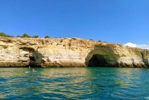 Desde Vilamoura: barco por la cueva de Benagil y delfines