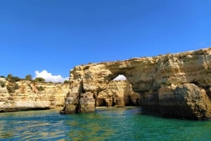 Fra Vilamoura: 2,5-timers Benagil Cave and Dolphins Boat Tour