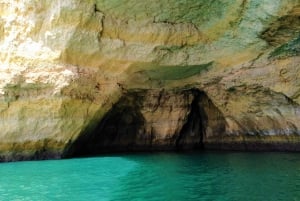 Ab Vilamoura: Bootstour zu Benagil-Höhlen & Delfine