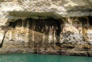 Från Vilamoura: 2,5 timmes delfinbåttur och Benagil-grottan