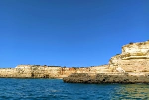 Ab Vilamoura: Bootstour zu Benagil-Höhlen & Delfine