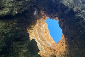 Depuis Vilamoura : Circuit de 2,5 heures dans la grotte de Benagil et visite en bateau des dauphins