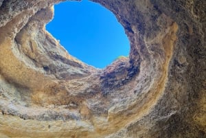 Depuis Vilamoura : Circuit de 2,5 heures dans la grotte de Benagil et visite en bateau des dauphins
