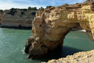 Depuis Vilamoura : Circuit de 2,5 heures dans la grotte de Benagil et visite en bateau des dauphins
