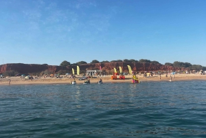 Depuis Vilamoura : Circuit de 2,5 heures dans la grotte de Benagil et visite en bateau des dauphins