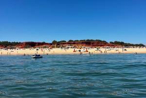 Depuis Vilamoura : Circuit de 2,5 heures dans la grotte de Benagil et visite en bateau des dauphins