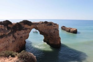 Depuis Vilamoura : Circuit de 2,5 heures dans la grotte de Benagil et visite en bateau des dauphins