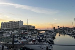 Depuis Vilamoura : Circuit de 2,5 heures dans la grotte de Benagil et visite en bateau des dauphins