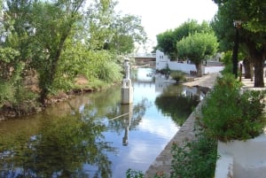 Z Vilamoura: Tradycyjna całodniowa wycieczka po Algarve