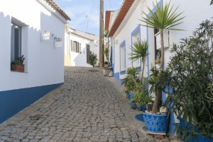 Visite d'une jounée de la côte ouest de l'Algarve