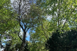 Día completo en Lisboa con Tuk-Tuk