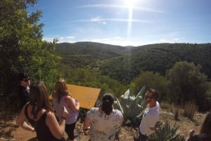 Full-Day Jeep Safari Algarve Moments