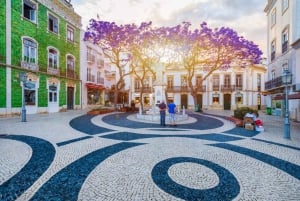 リスボン発、ラゴスとベナンギルの 1 日プライベート ツアー