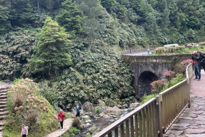 Full Day Scenic tour Nordeste and Povoação and waterfalls