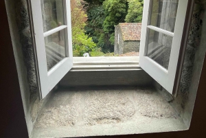 Full Day Scenic tour Nordeste and Povoação and waterfalls