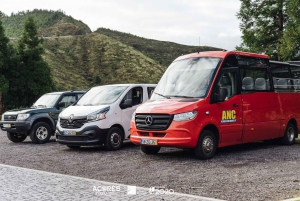 Full Day Scenic tour Nordeste and Povoação and waterfalls