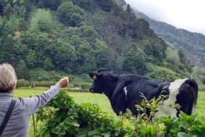 Full Day Scenic tour Nordeste and Povoação and waterfalls