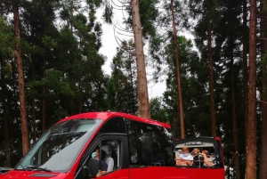 Full Day Scenic tour Nordeste and Povoação and waterfalls