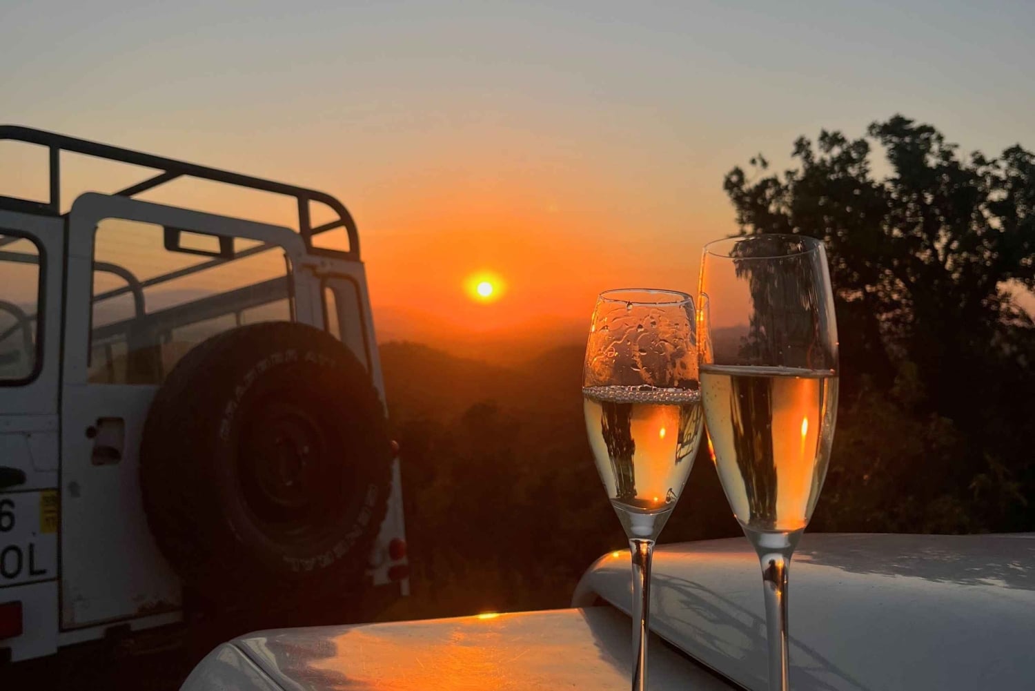 Golden Hour Safari in the Algarve