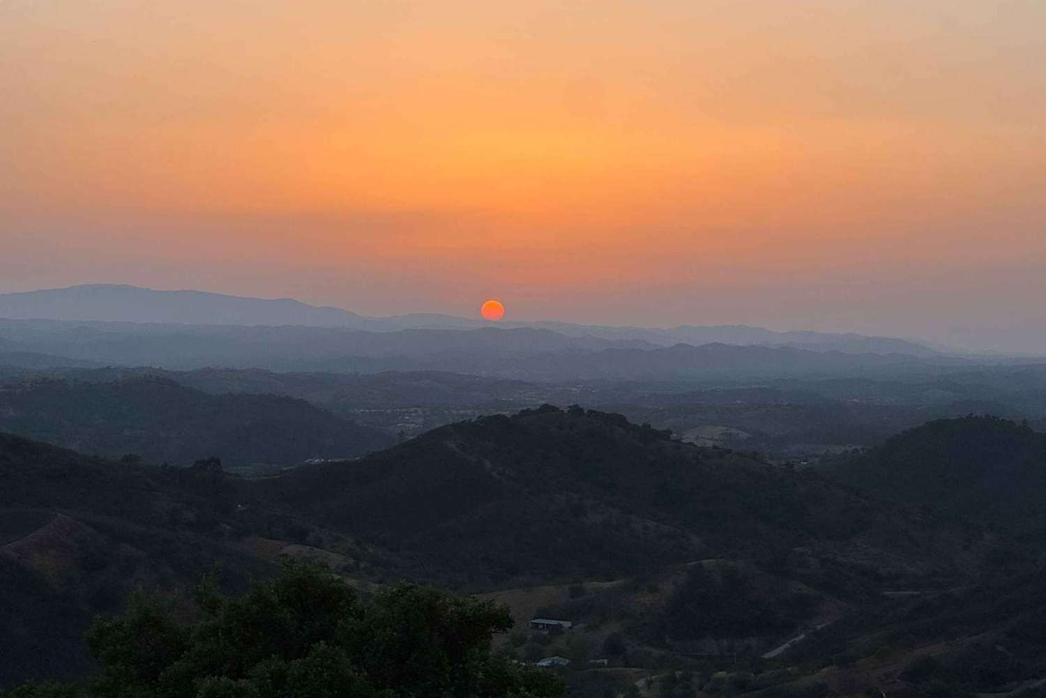 Golden Hour Safari in the Algarve
