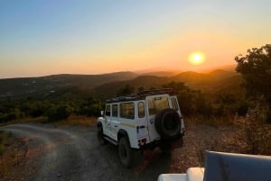 Golden Hour Safari in the Algarve