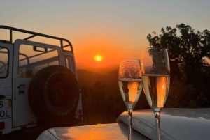 Golden Hour Safari in the Algarve