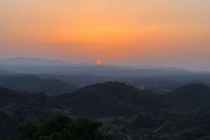 Golden Hour Safari in the Algarve