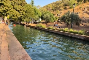 Golden Hour Safari in the Algarve