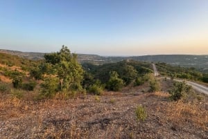 Golden Hour Safari in the Algarve