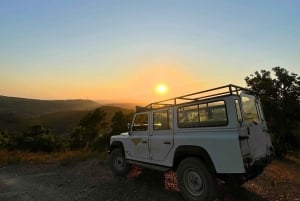 Golden Hour Safari in the Algarve
