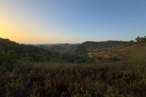 Golden Hour Safari in the Algarve
