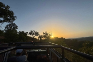 Golden Hour Safari in the Algarve