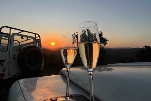 Golden Hour Safari in the Algarve