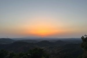 Golden Hour Safari in the Algarve