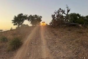 Golden Hour Safari in the Algarve