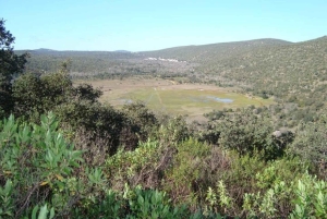 Golden Hour Safari in the Algarve