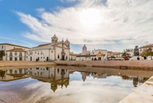 Algarve: Guided Half-day Trip to Lagos and Cabo Sao Vicente