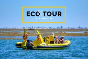 From Faro: Ria Formosa Eco Tour guided by Marine Biologist