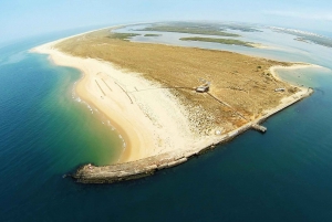 From Faro: Ria Formosa Eco Tour guided by Marine Biologist