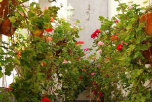 アルガルヴェのイスラム首都シルベスへのガイド付き訪問