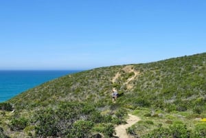 Guidet gåtur + picnic: Det vestlige Algarves vilde skønhed