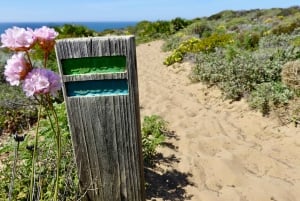 Guidet gåtur + picnic: Det vestlige Algarves vilde skønhed