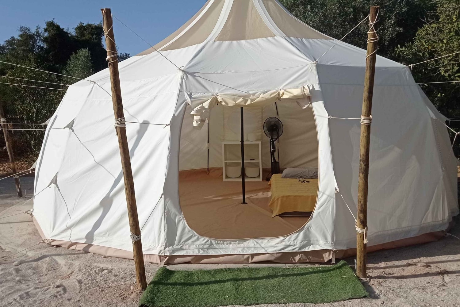 Halvdag 'Detox, mineralisering og restitution' (bad + behandling)