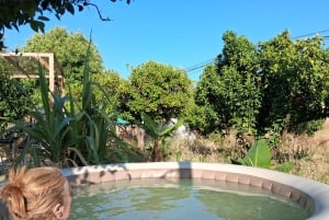 Halvdag 'Detox, mineralisering og restitution' (bad + behandling)