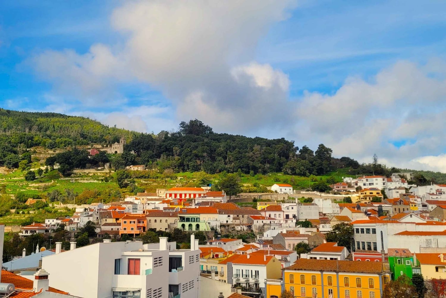 Half-Day Mountain Jeep Safari with firewater tasting