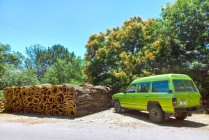 Half-Day Mountain Jeep Safari with firewater tasting